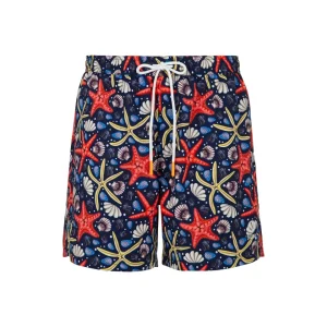 Suns Boxer Mare Capri "Starfish"